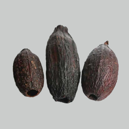 3 x Cocoa Pods