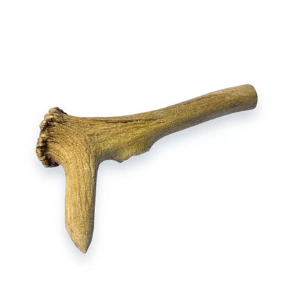 Antler Pick