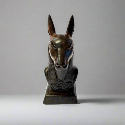 Anubis Head