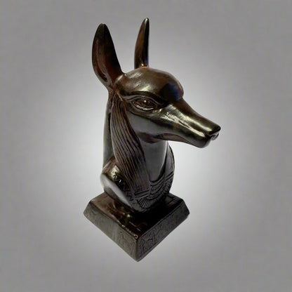 Anubis Head