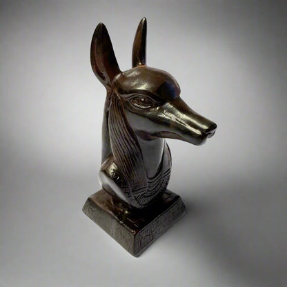 Anubis Head