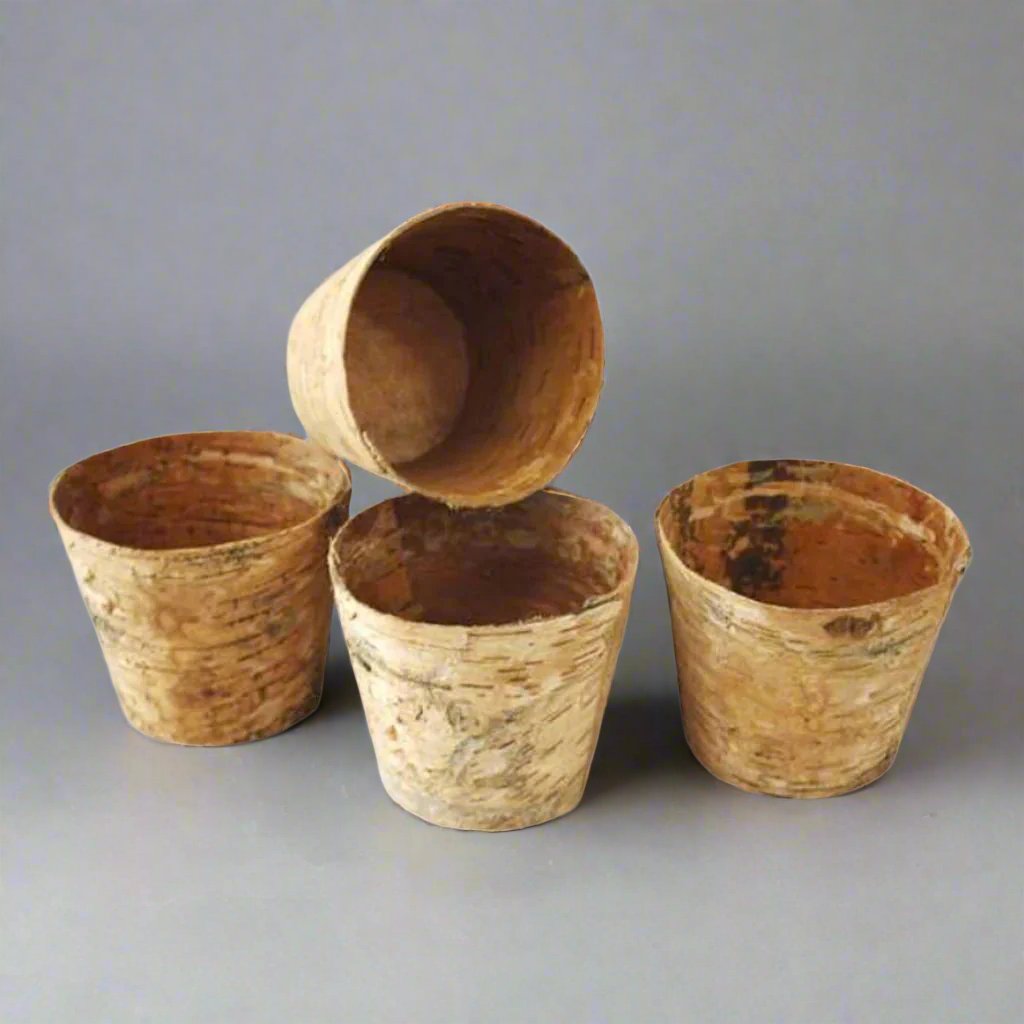 Birch Bark Pot