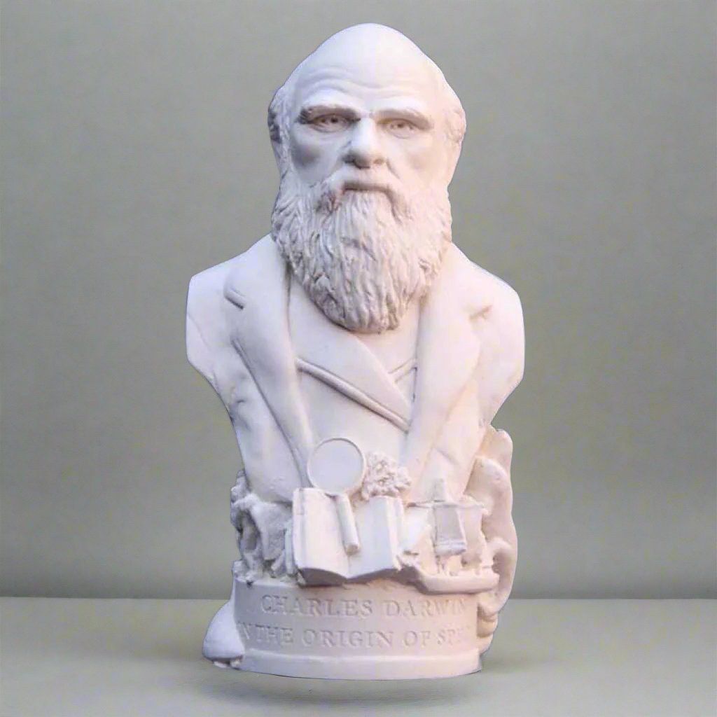 Charles Darwin Bust