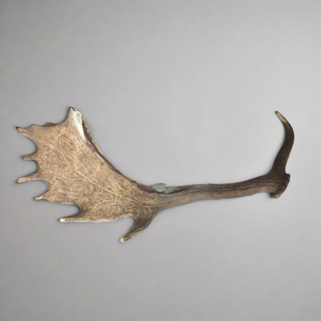 Large Antler Sickle