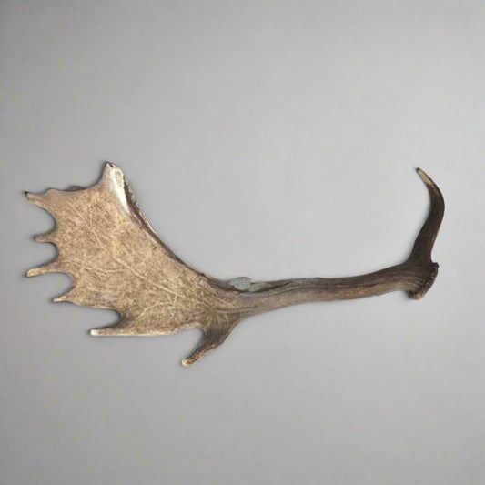 Large Antler Sickle