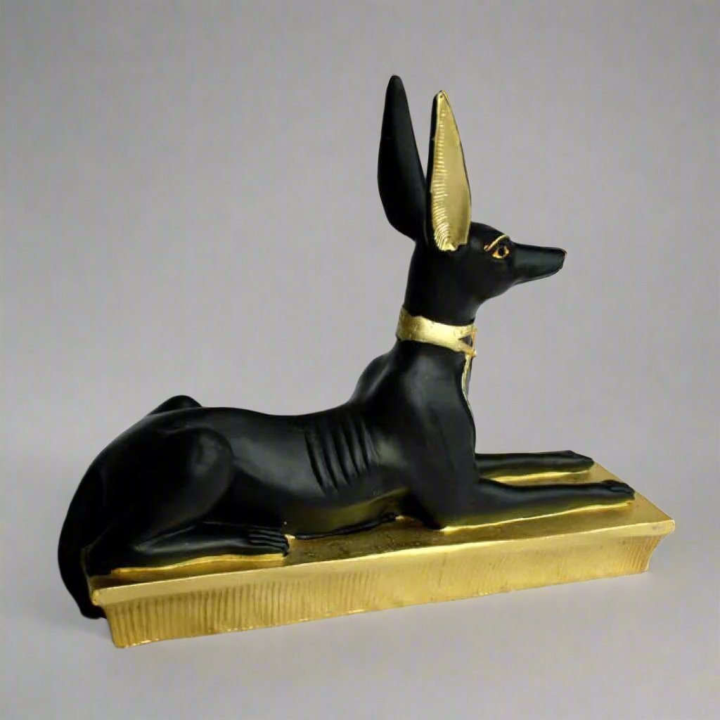 Large Anubis