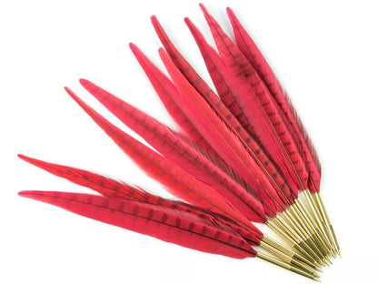 Pheasant Feather Quill