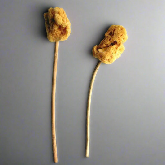 Sponge on Stick