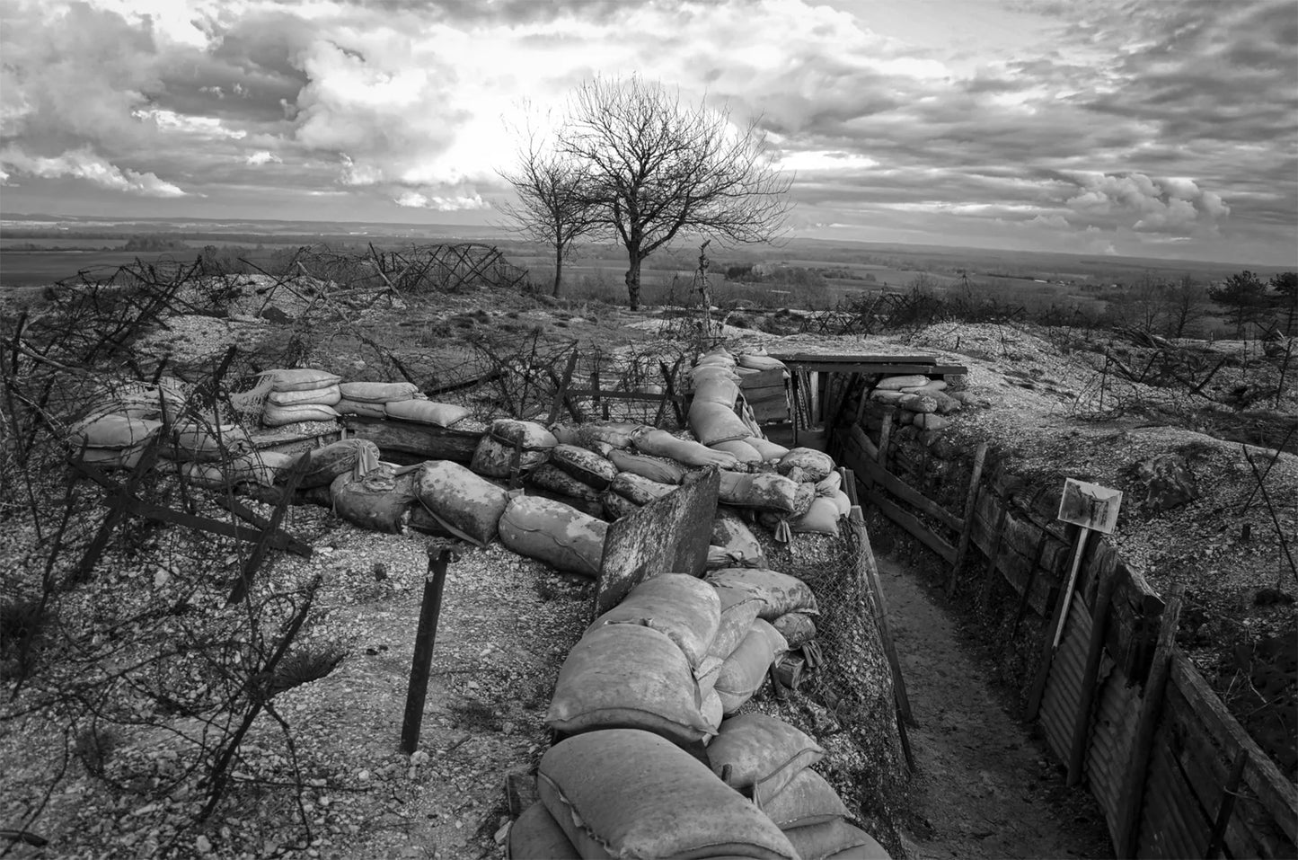 World War One Backdrop