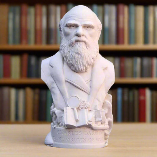 Charles Darwin Bust
