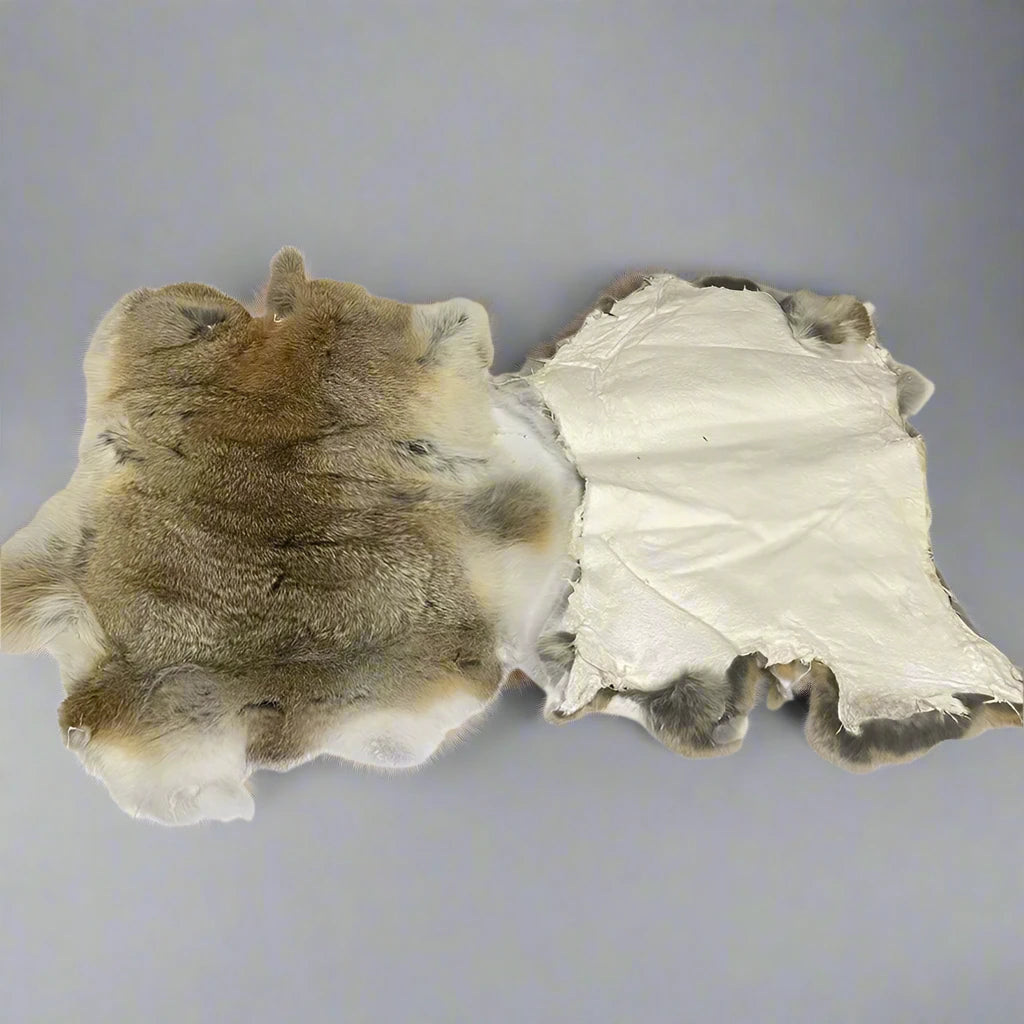 Rabbit Pelt – Inspire Education