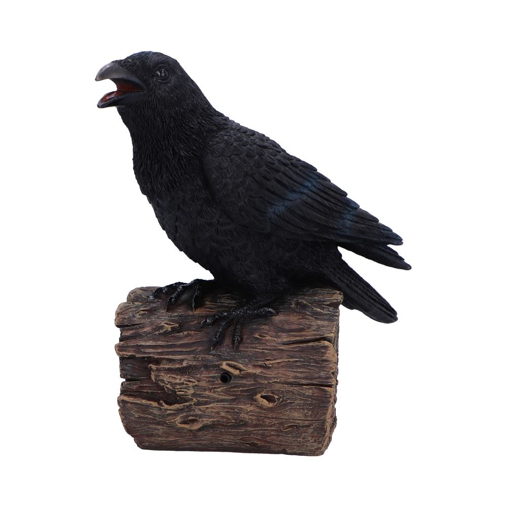 Raven