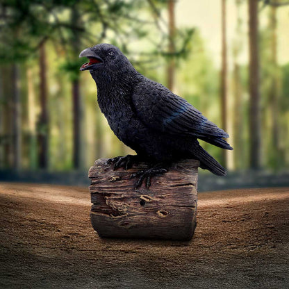 Raven