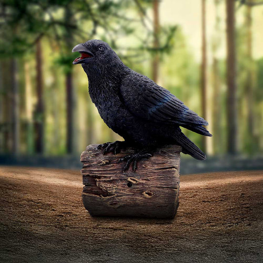 Raven