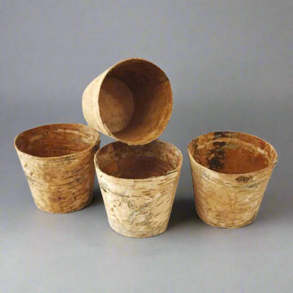 Stone Age Bargain Box